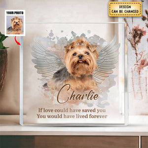 Pets Teach Us The Purest Kind Of Love - Memorial Personalized Acrylic Plaque