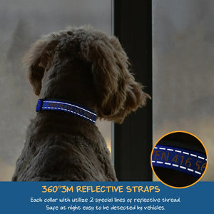 Personalized Multicolor Adjustable Reflective Strips Dog Collar with Embroidered Pet Name and Phone Number