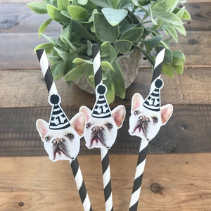 Personalized Pet Face Straws Party Decorations