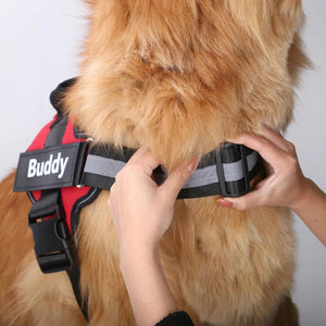 Personalized NO PULL Harness