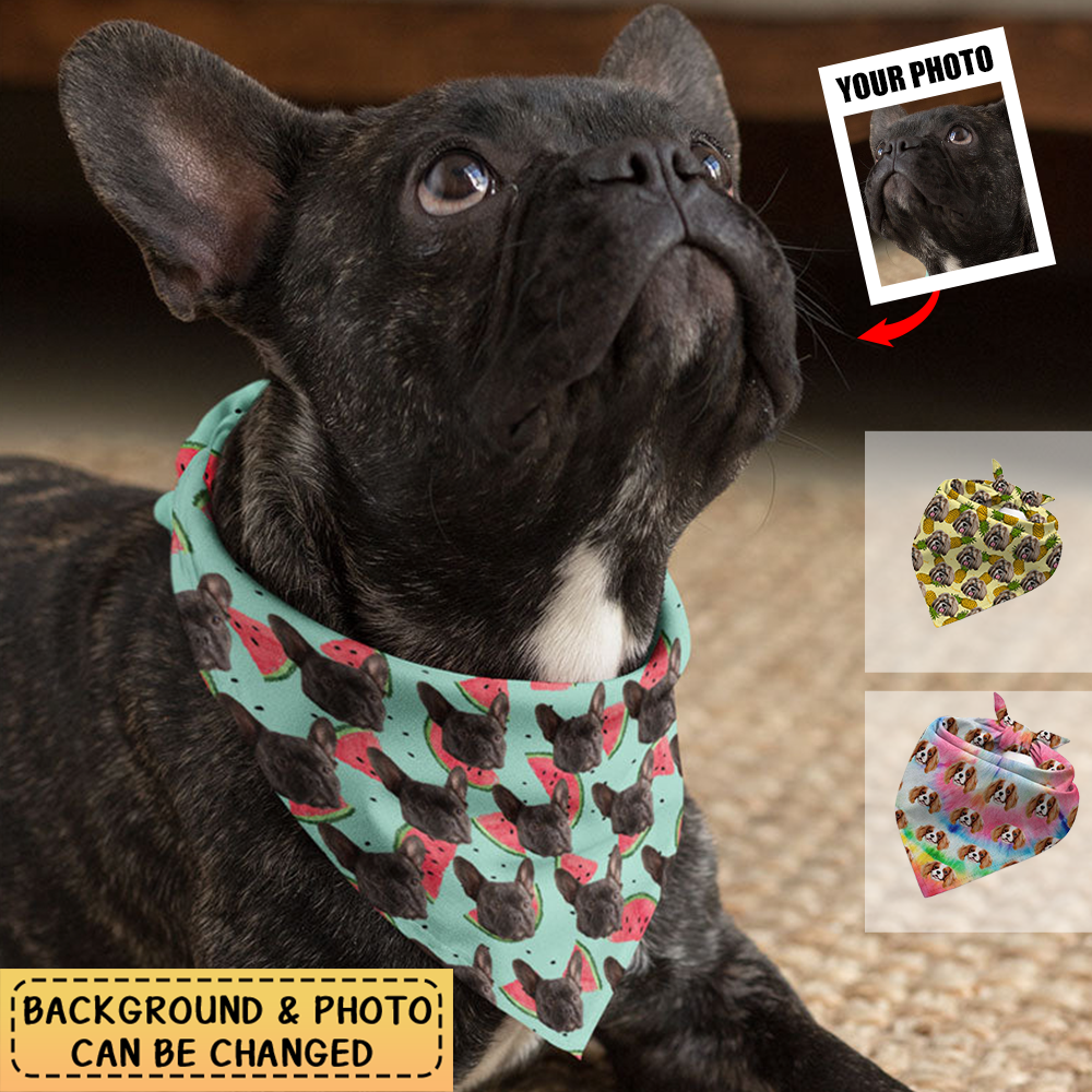 Multi Pattern Bandana Personalized Bandana Custom Gifts For Dog